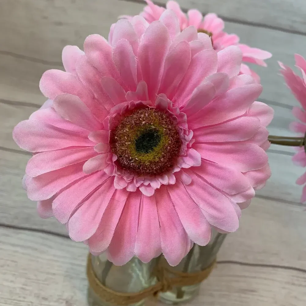 Artificial Pink Gerbera Daisies in Bottles and Twine String Faux Glued Water 9